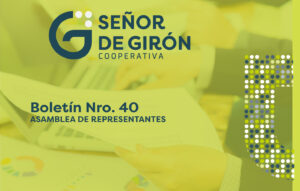 Boletín N°40